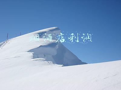 烟酒店利润率是多少(很多烟酒店“无人问津”，表面不赚钱却越开越多？是如何赚钱的？)