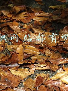 求职网站都有哪些