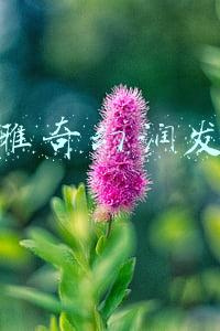 欧莱雅奇幻润发精油