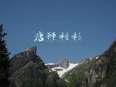 唐狮衬衫