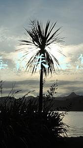 金山毒霸杀毒怎么样