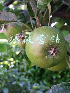 爆破营销活动案例(单店微信爆破！（附部分实战案例）)