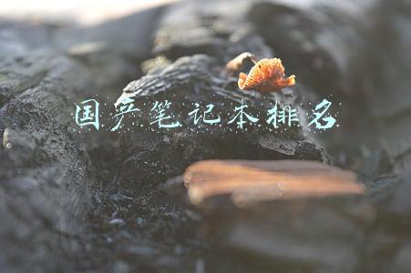 国产笔记本排名