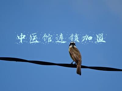 中医馆连锁加盟