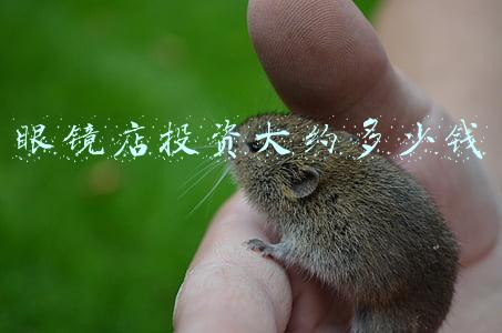 眼镜店投资需要多少钱(眼镜店投资需要多少钱连锁加盟)