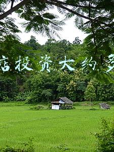 眼镜店投资有没有前景(现在眼镜店前景怎么样)