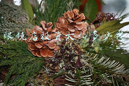 投资眼镜店得多少钱(投资眼镜店需要多少钱)