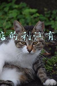 二元店的利润多少-二元店利润有百分之几
