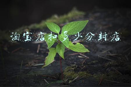 淘宝扣分多少会封店，淘宝店扣分多少封店