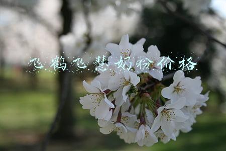 飞鹤奶粉价格(飞鹤奶粉哪个系列最好吃？5大系列深度测评，看完不怕剁错手)