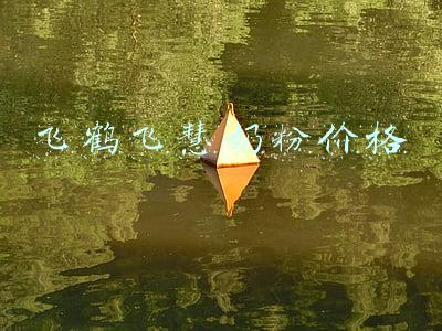飞慧(做多元年，中国飞鹤奶粉龙头地位获一致认可)