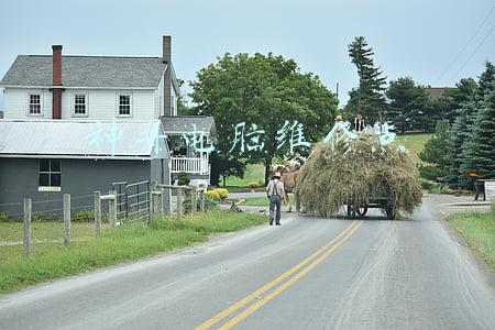 神舟电脑维修点查询(左手京东，右手神舟：一台京东网购神舟笔记本电脑的售后迷魂阵)