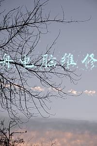 神舟笔记本维修电话(记住95128！告诉爸妈)