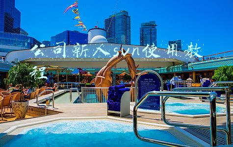公司新人svn使用教程视频(svn commit 提交很慢问题解决办法)
