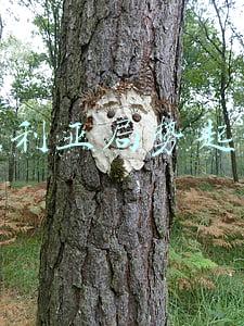 叙利亚的局势是什么(大国角力战争持续 十年了，叙利亚和平路在何方？)