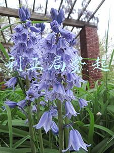 聊聊叙利亚局势(小范围“世界大战”！深度揭秘叙利亚危机为何停不下来 快看)