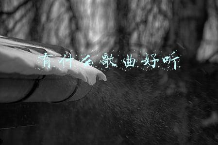 好听音乐(推荐好听的音乐)