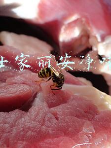 多乐士家丽安净味价格