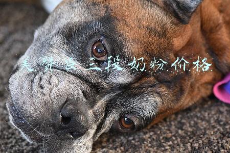 美赞臣三段奶粉价格