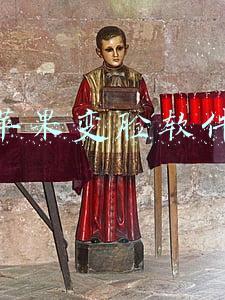 苹果变脸软件