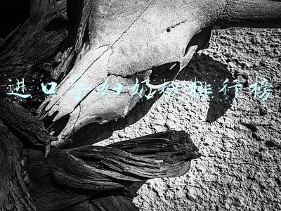 进口孕妇奶粉排行榜