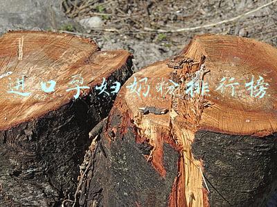 进口孕妇奶粉排行榜