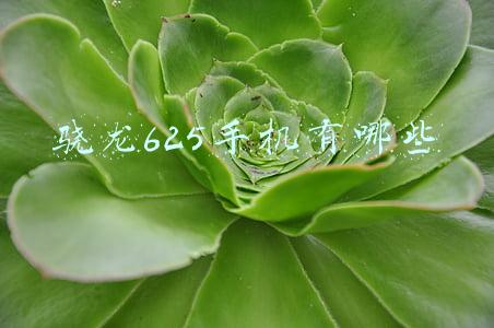 骁龙865手机有哪些(骁龙 8 翻车！这些 865 机型香爆了)