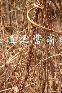 整个小区断网怎么回事(物业与运营商纠纷致用户被断网，律师：不应影响用户正常用网)
