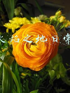 火焰之地日常哪里接(魔兽世界-「大地的裂变」坐骑及获取方法一览)