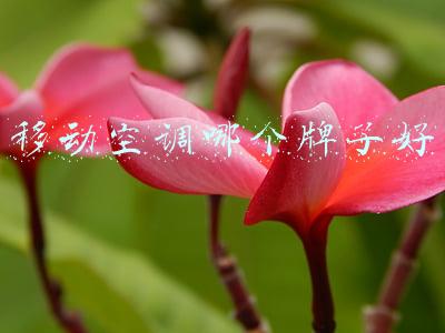 移动空调哪个牌子好噪音小(如何解决移动空调的噪音问题？)