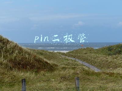 pin二极管工作原理(揭秘雪崩光电二极管「结构、原理、特性、区别PIN 光电二极管」)