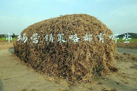 市场营销策略都有哪些
