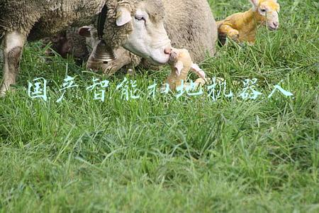 国产智能扫地机器人