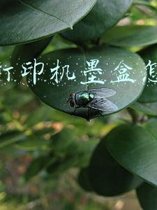 佳能打印机墨盒怎么加墨水3080(佳能MG3080 安装fine墨盒视频)