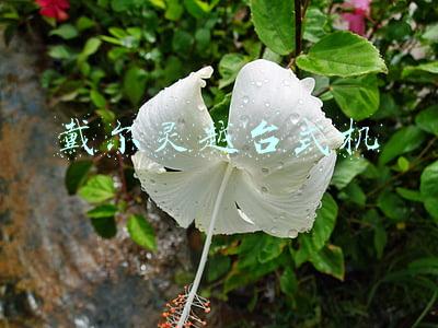戴尔灵越台式机怎么样(如果你是从事艺术设计行业的，要不要考虑入手一台戴尔灵越7300？)