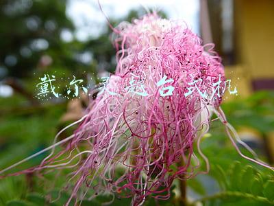 戴尔灵越台式机