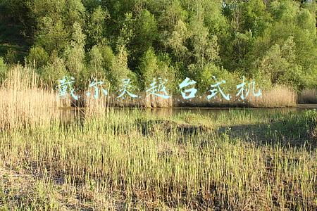 戴尔灵越台式机3670(用傲腾为设计注入多素材任务同步调取能力)