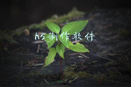 h5制作软件