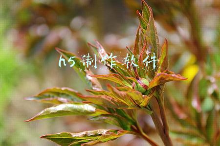 h5制作软件