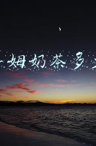 阿萨姆奶茶多少钱