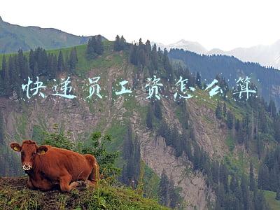 顺丰快递员工资怎么算的(顺丰薪酬体系大曝光，看完感叹：太走心了，不服不行)