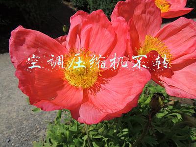 空调压缩机不转