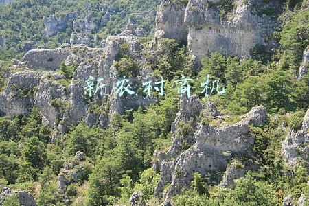 新农村致富(农村如何致富？农村致富金点子)