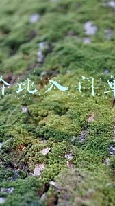 性价比入门单反
