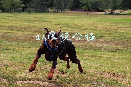 ar 眼镜(打造三大行业方案，推出自研光学模组，爱普生发力AR眼镜市场)