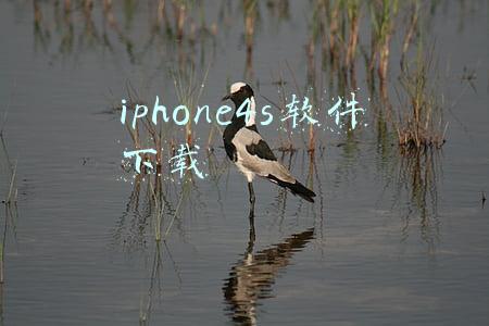 iphone4s软件下载