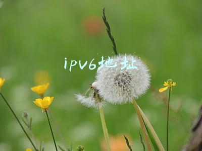 ipv6地址