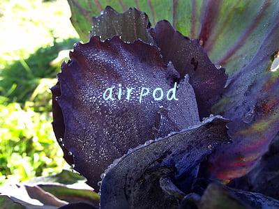 airpods三代(AirPods 3开箱评测，优点和缺点分享，1399元值得买吗？)