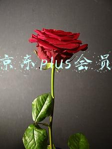 京东plus会员怎么取消(京东会员自动续费怎么取消 设置关闭京东会员自动扣款方法)