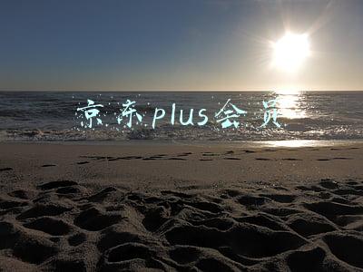 京东plus会员客服(我被京东白条气到了，真的太反人性了)